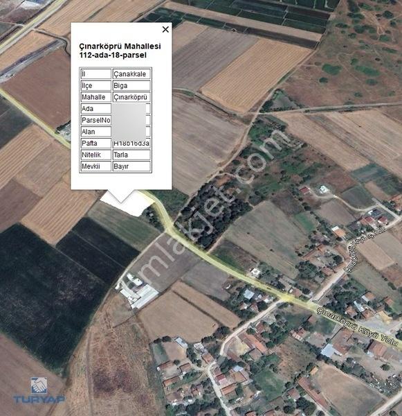Biga Çınarköprüde 2.820 M² Satılık Yatırımlık Tarla — fotoğraf 5