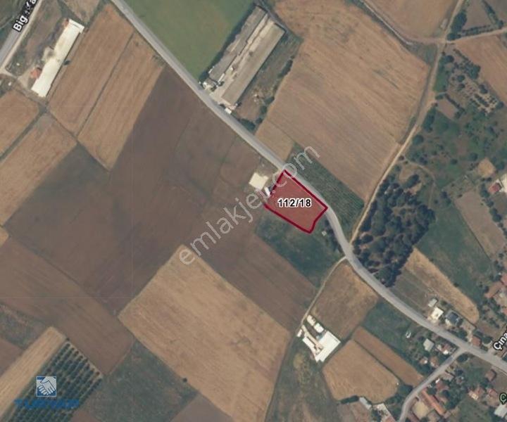 Biga Çınarköprüde 2.820 M² Satılık Yatırımlık Tarla — fotoğraf 6