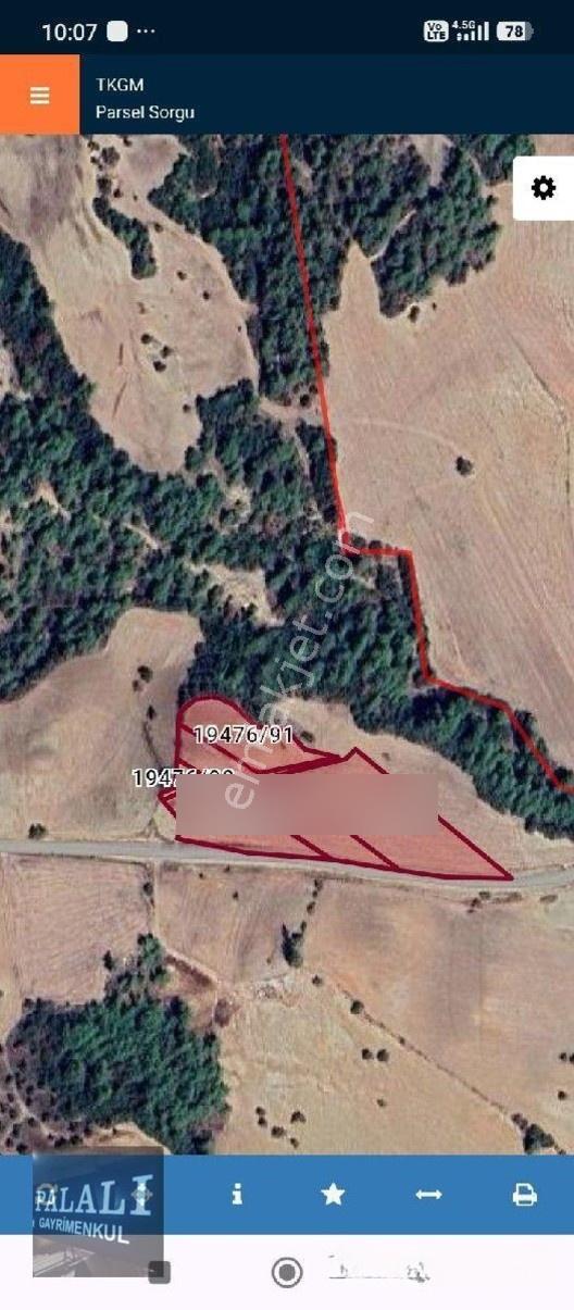 Adana Çirişgedigi Köyü Geçin Ce Hocalı Da 5 Adet Ayrı Ayrı Tapulu Tarla