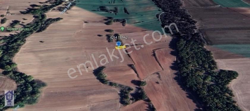 Lir Den Lüleburgaz Ertuğrul Köyün De 191 M2 Satılık Tarla