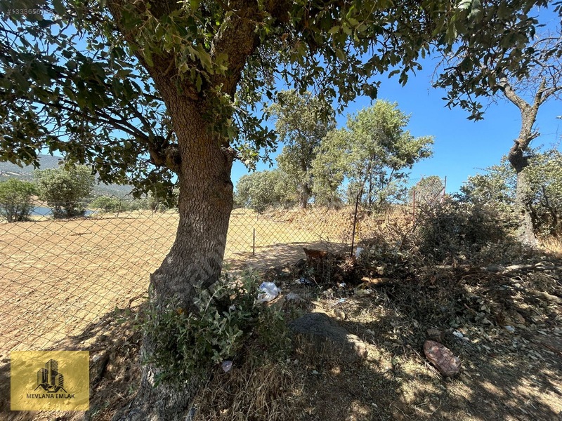 Gölete Sıfır Köye 300metre Uzaklıkta Resmi Yol Var Mustekil Tapu — fotoğraf 21