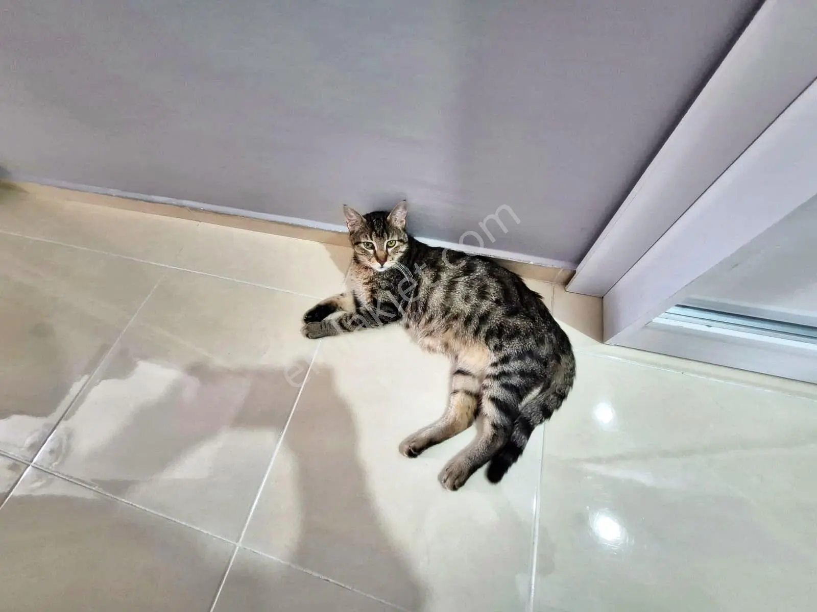 Aktif'ten Akçay'da Satılık Harika Konumlu Masrafsız 2+1 Ferah Daire — fotoğraf 6