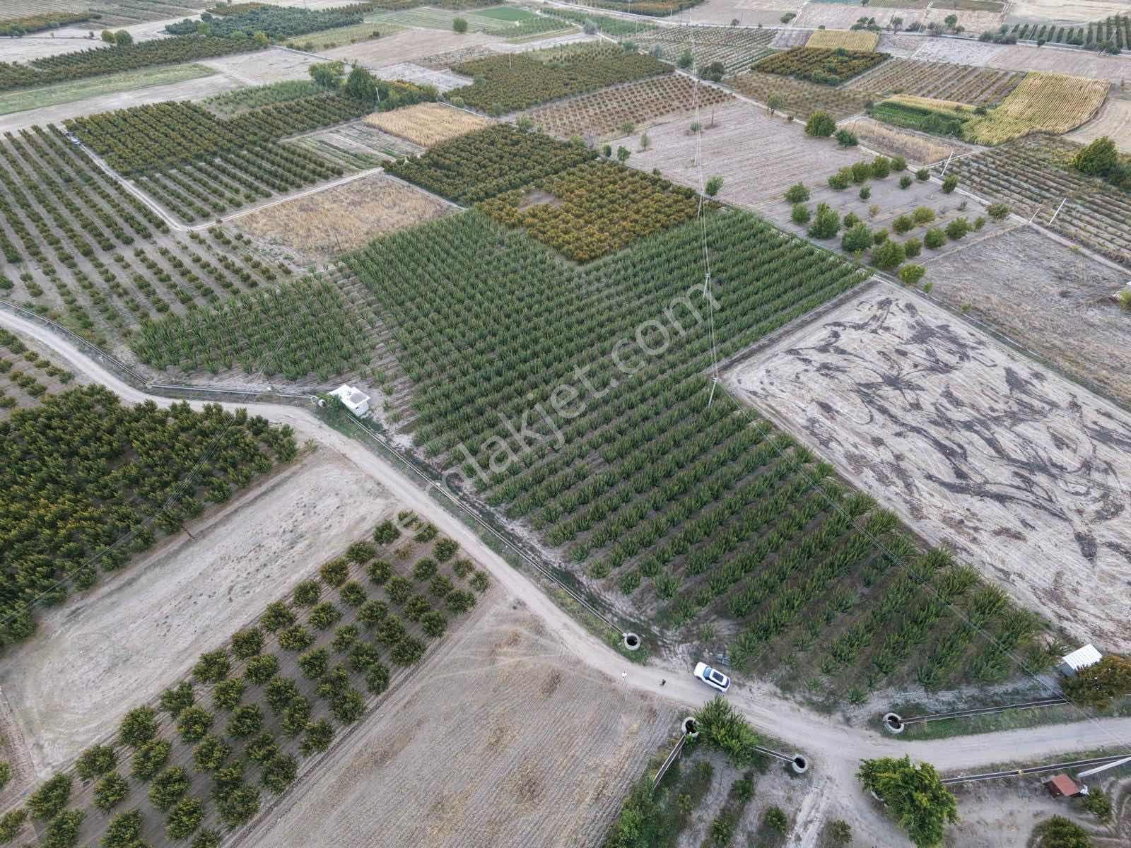 Çivril-menteş Mahallesinde 13.900m2 Verilmli Kayısı Bahçesi..!!! — fotoğraf 3