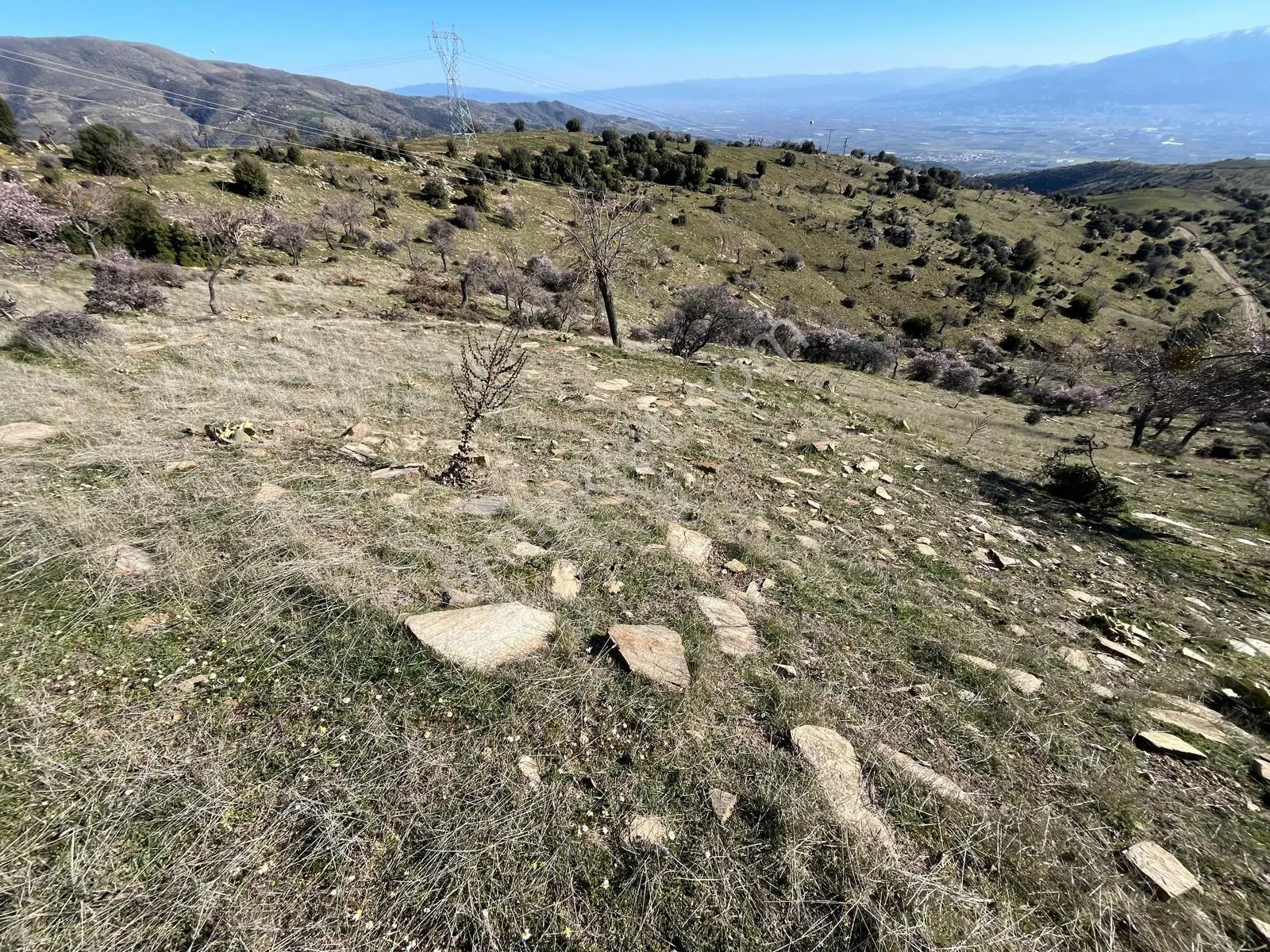 Satilik Tarla Ciftlik Yapmaya Uygun — fotoğraf 8