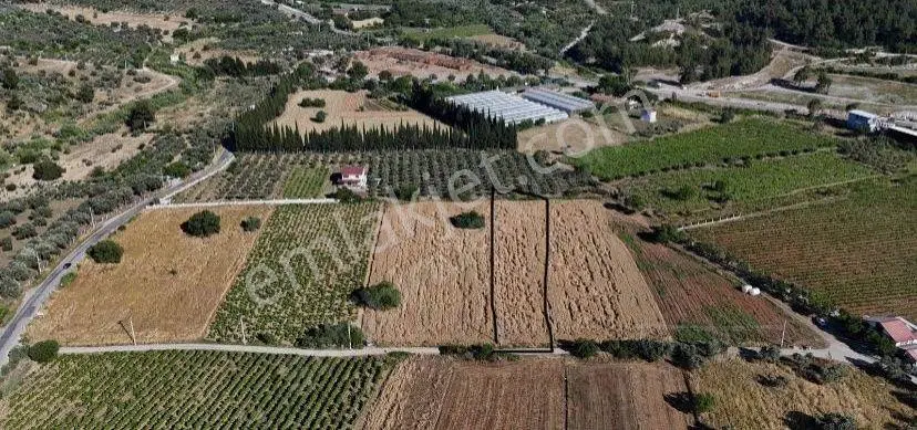 Menderes Akçaköy'De 3282 M2 Hisseli Tarla Satılıktır