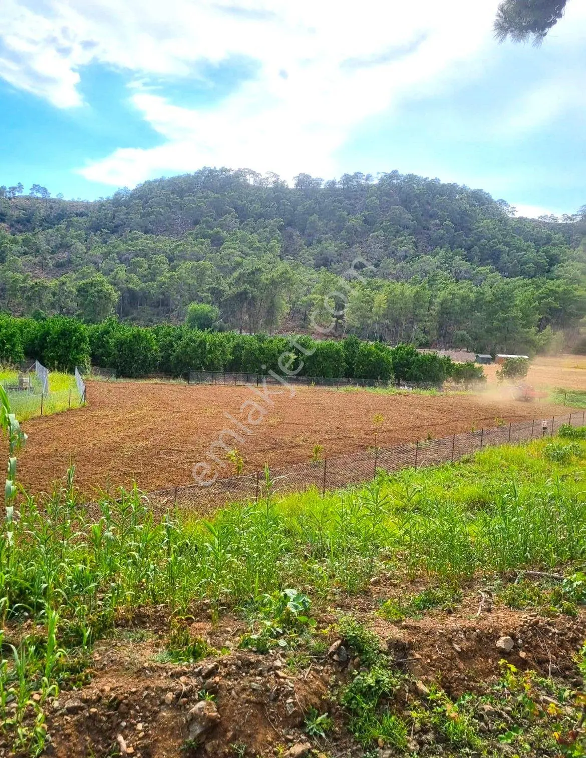 Goldhousedan Satılık Yanıklarda Fırsat Harika Lokasyon 1353 M2