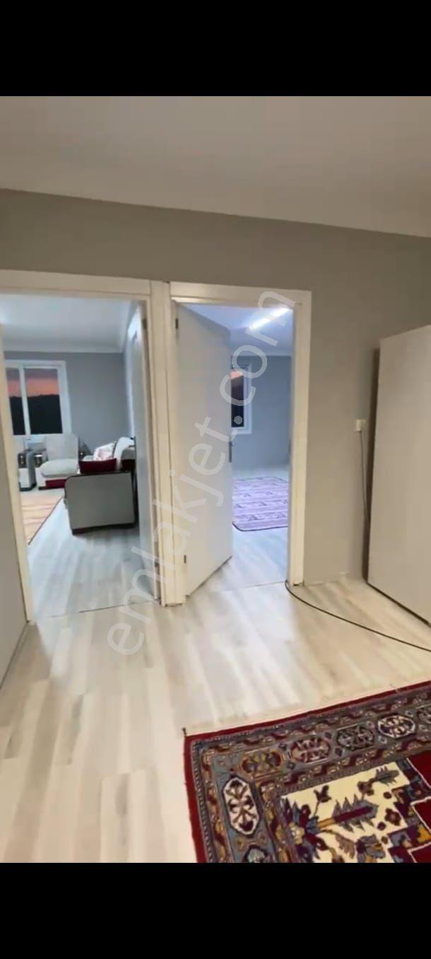 Tarsus Sarıveli Mah. Satılık Muz Ve Şeftali Serası — fotoğraf 19