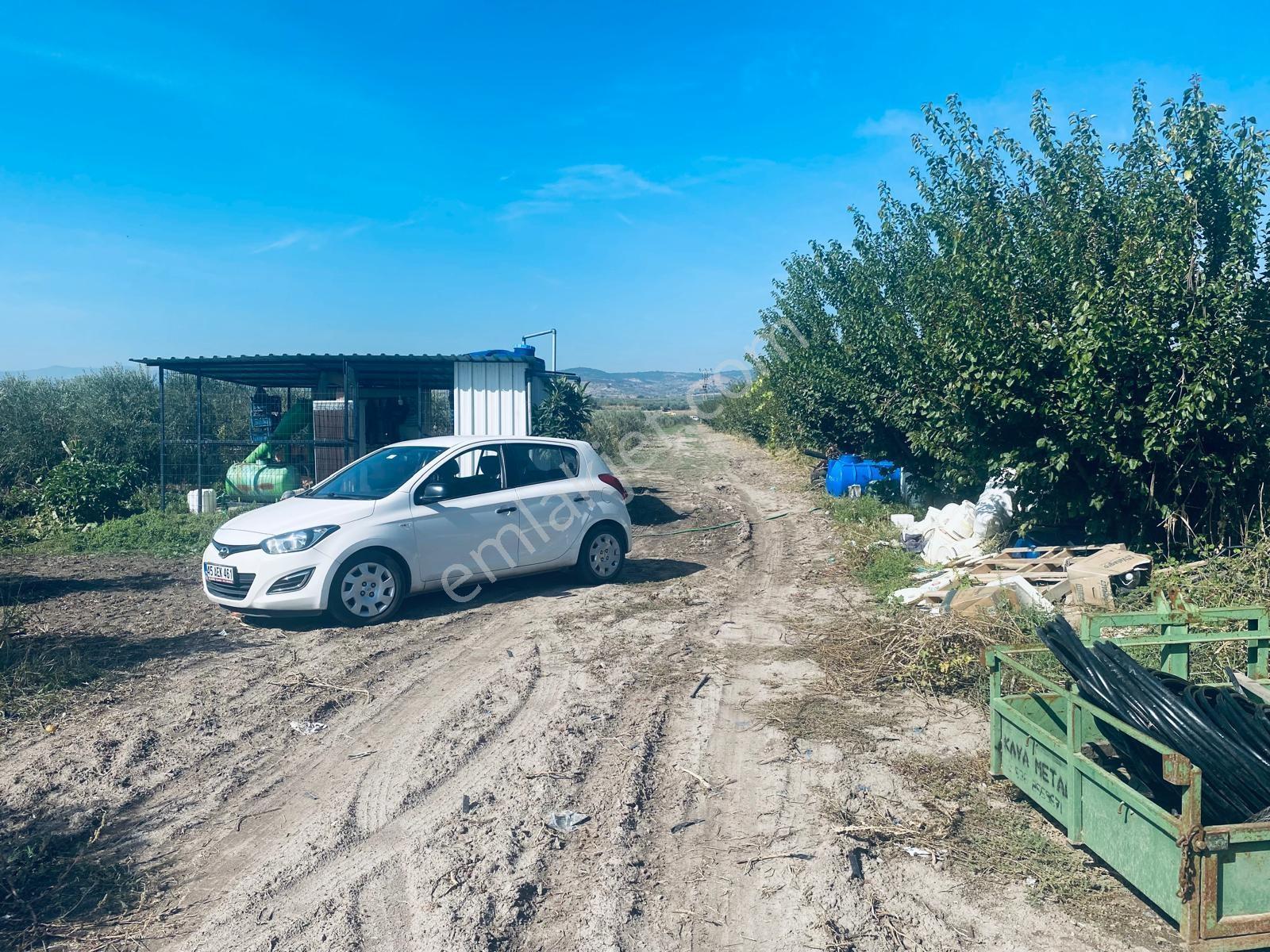 Manisa Yunusemre Gülbahçe'de Köye Yakın 175 Dönüm Zeytinlik — fotoğraf 8