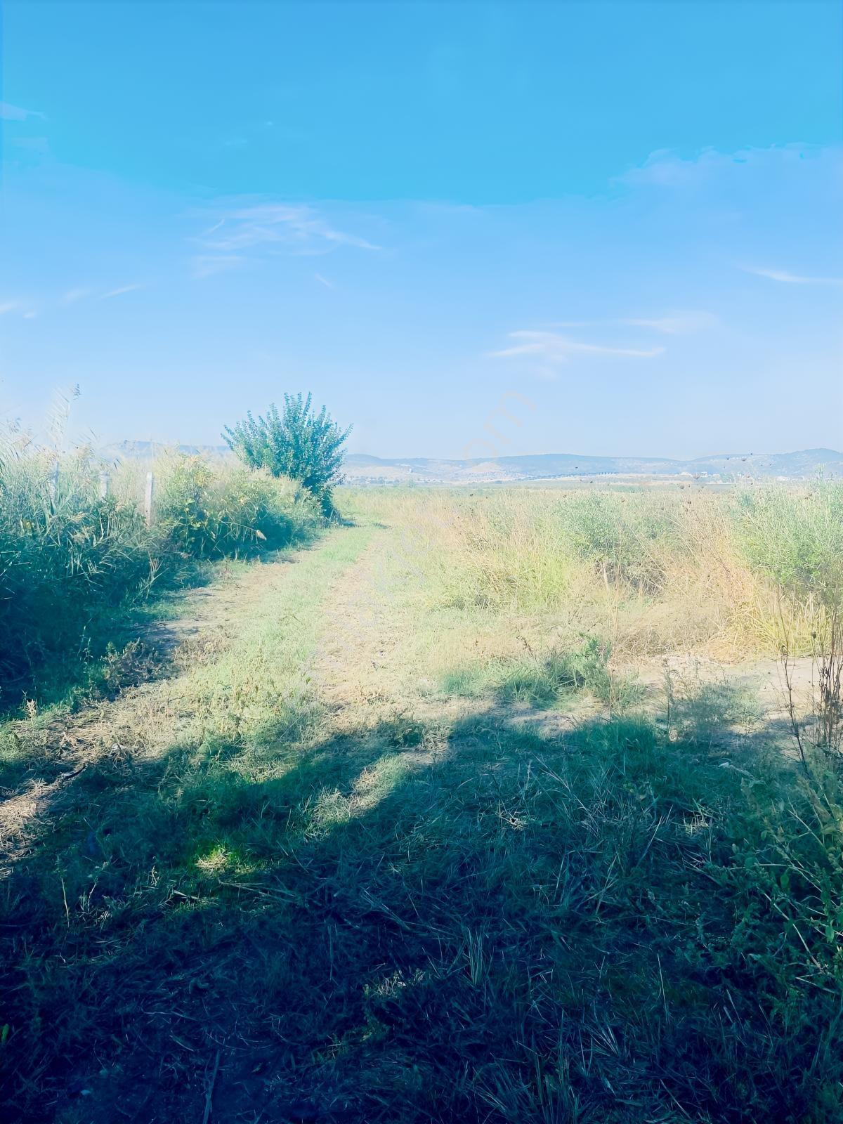 Manisa Yunusemre Gülbahçe'de Köye Yakın 175 Dönüm Zeytinlik — fotoğraf 24