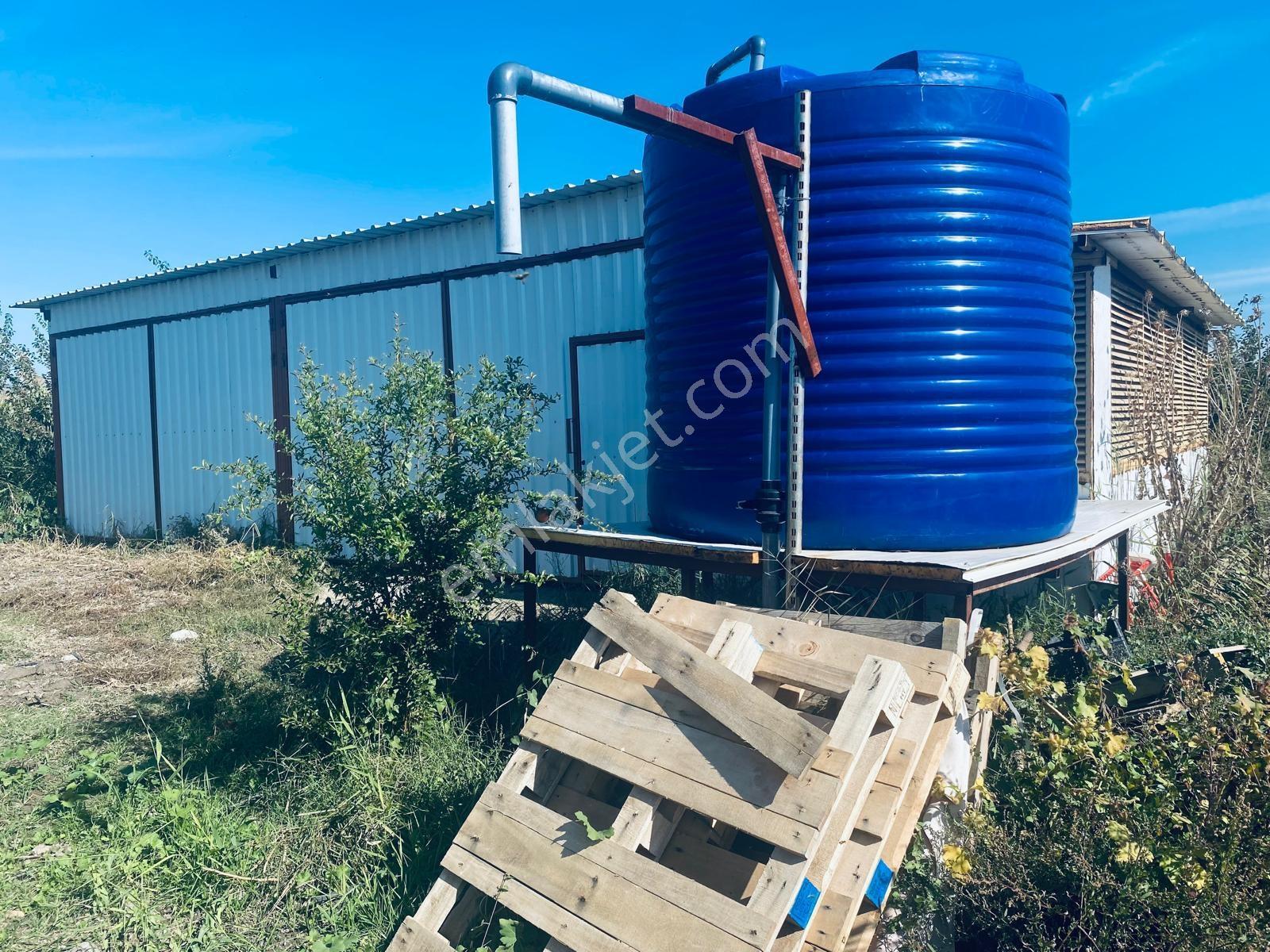 Manisa Yunusemre Gülbahçe'de Köye Yakın 175 Dönüm Zeytinlik — fotoğraf 35