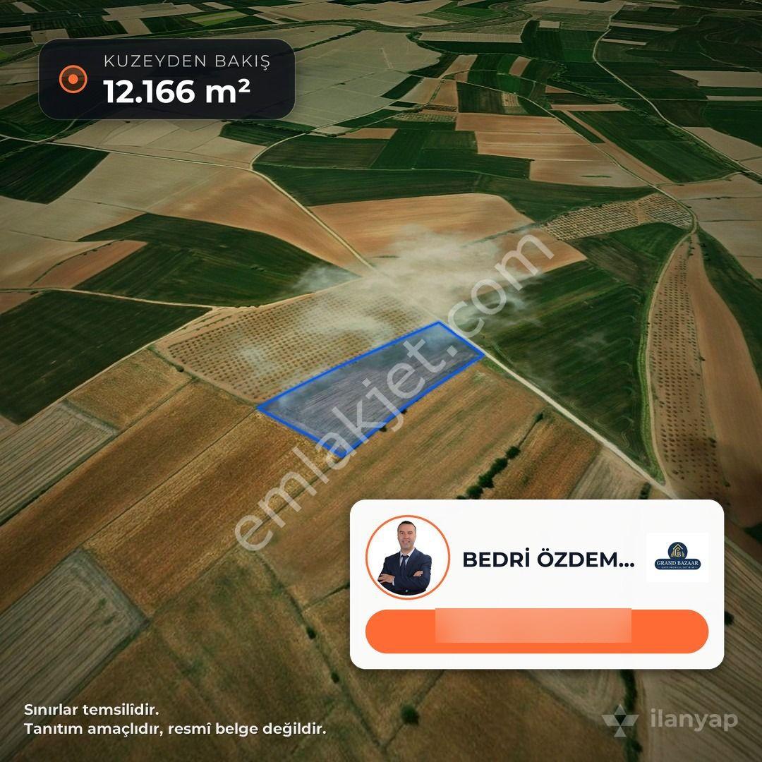 Gelibolu Evreşe'de Deniz Manzaralı 12 Dönüm Tarla — fotoğraf 9
