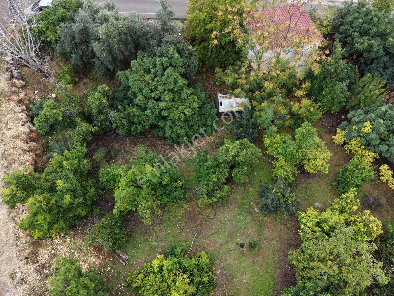 Gelişen Bölgede, İşlek Caddeye 2. Parselde Yatırımlık Arsa — fotoğraf 6