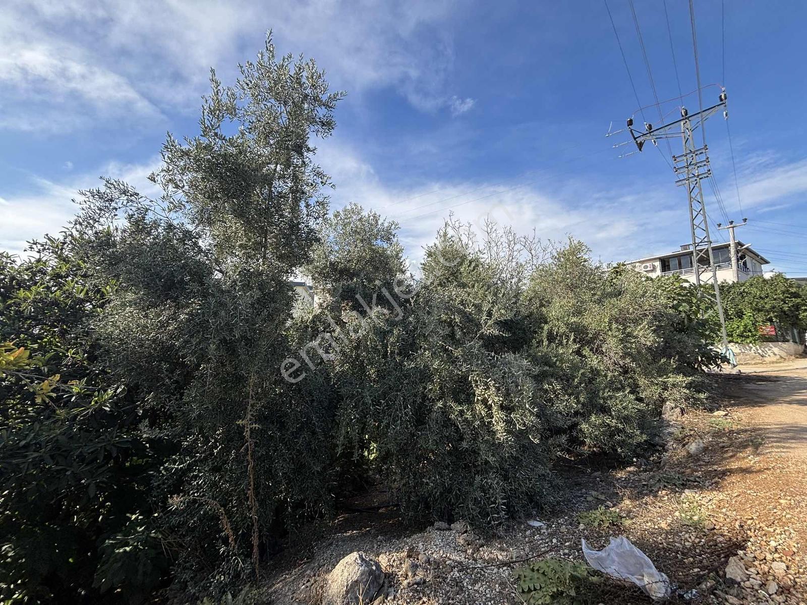 Gelişen Bölgede, İşlek Caddeye 2. Parselde Yatırımlık Arsa — fotoğraf 16
