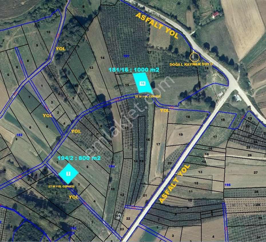 Kandıra Ferizli'De Yol Kenarı 800 M2 Satılık Tarla