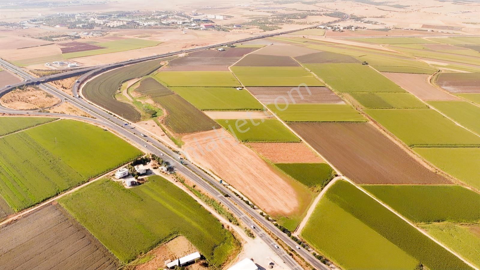 World İlkevim'den Mardin Yoluna Sıfır Satılık 33 Dönüm Tarla — fotoğraf 3