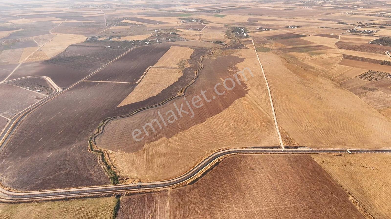 World İlkevimden Aşağıçiftlik Yatırımlık Satılık 654 Dönüm Tarla