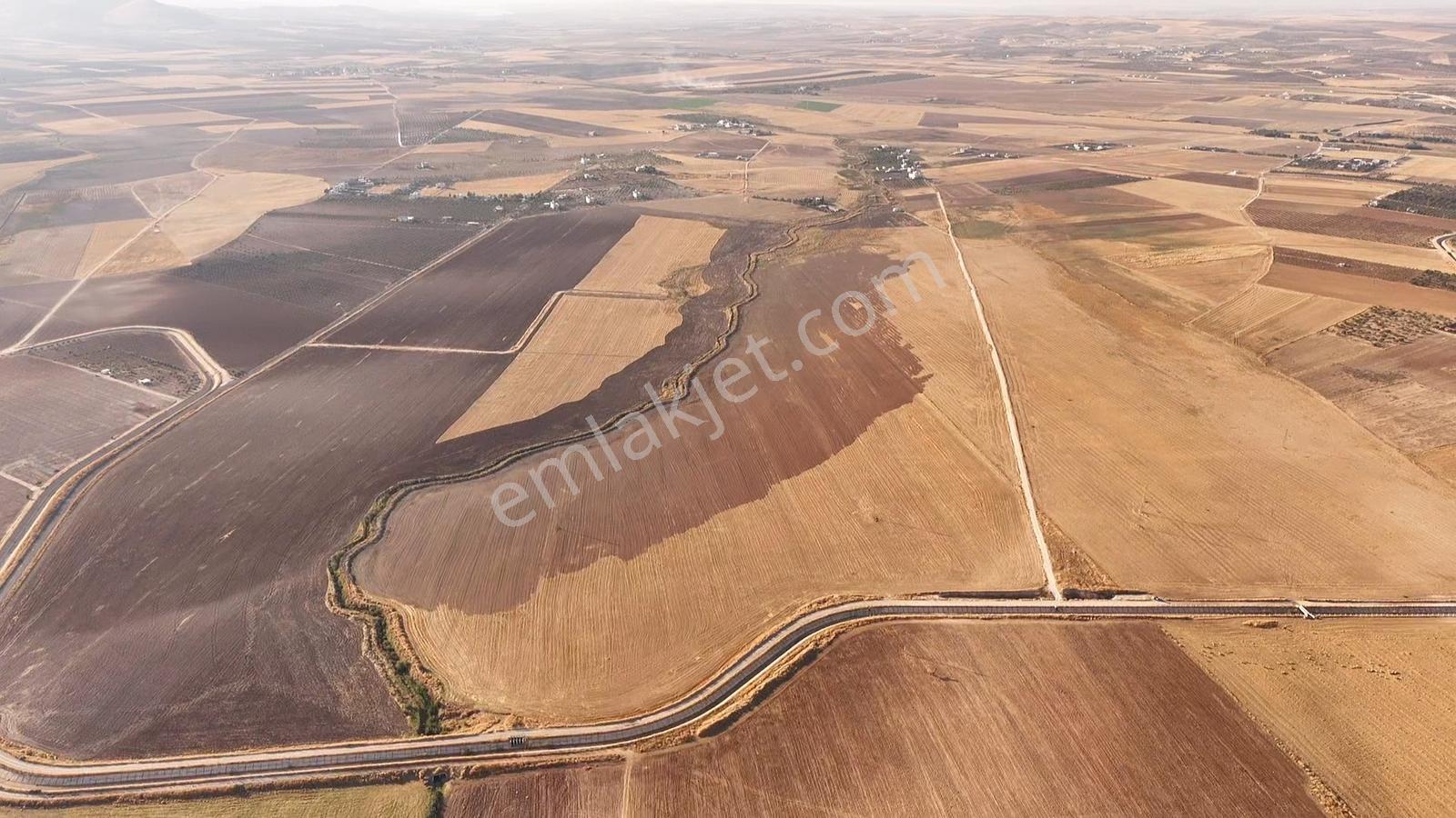 World İlkevimden Aşağıçiftlik Yatırımlık Satılık 654 Dönüm Tarla — fotoğraf 3
