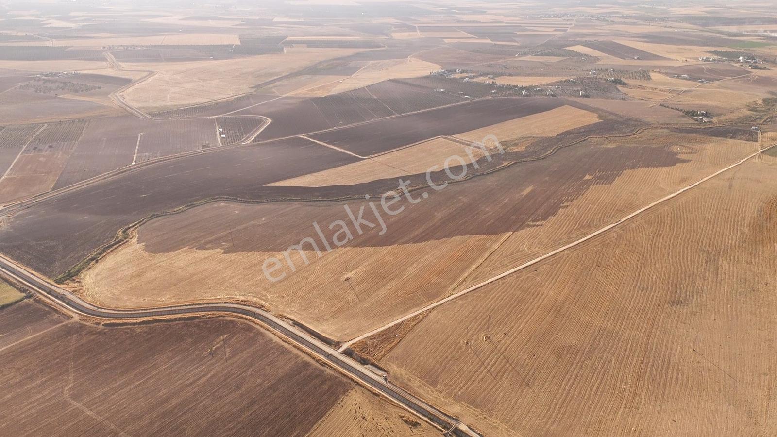 World İlkevimden Aşağıçiftlik Yatırımlık Satılık 654 Dönüm Tarla — fotoğraf 4