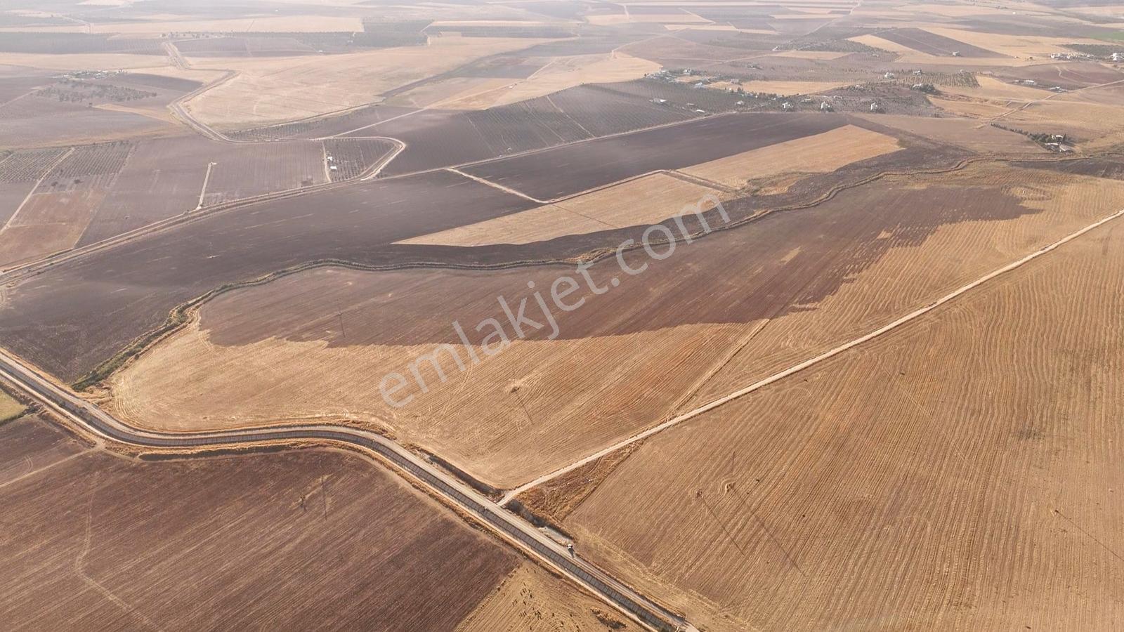 World İlkevimden Aşağıçiftlik Yatırımlık Satılık 654 Dönüm Tarla — fotoğraf 5