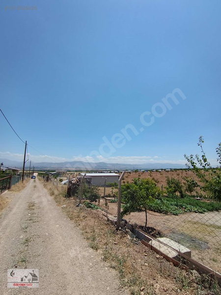 Şook !!!! Akçadağ Ceza Evi Karşısında Satılık Hobi Bahçesi Ve Ev — fotoğraf 14