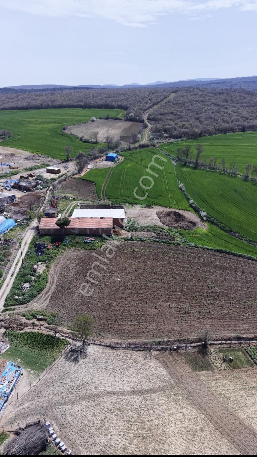 Süleymanpaşa Akçahalilde İmarlı 241 M² Satılık Arsa — fotoğraf 8