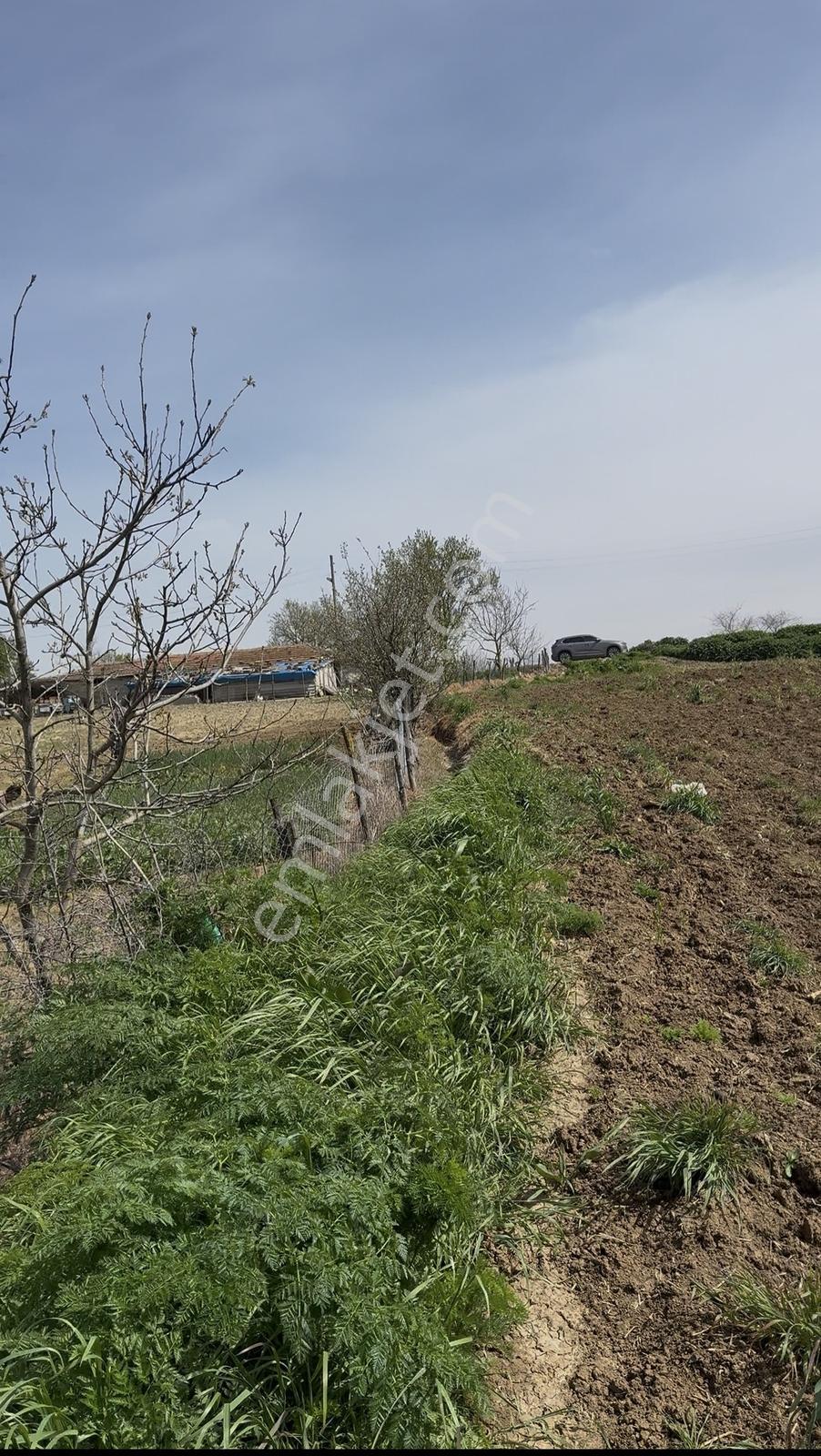 Süleymanpaşa Akçahalilde İmarlı 241 M² Satılık Arsa — fotoğraf 16