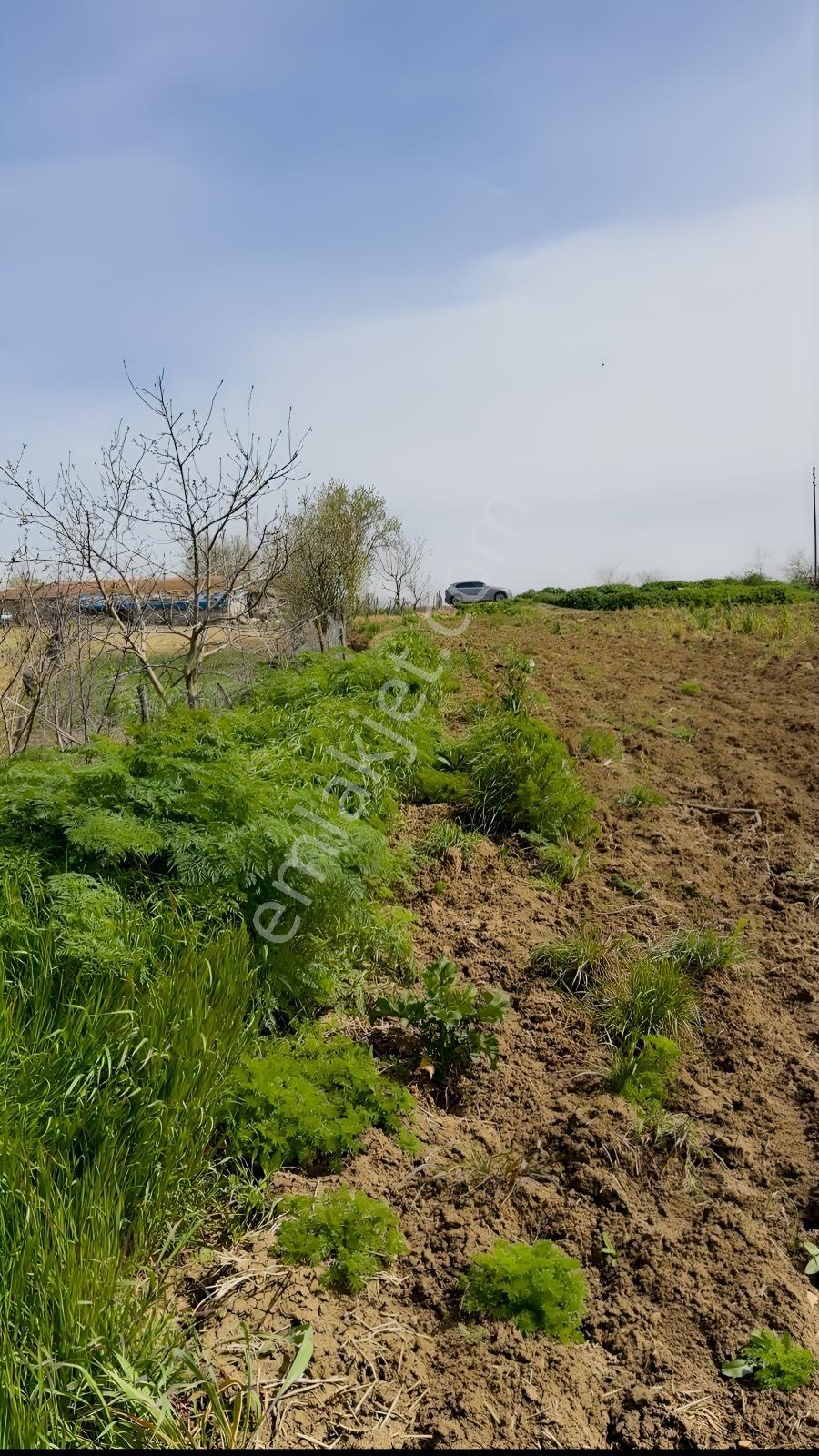 Süleymanpaşa Akçahalilde İmarlı 241 M² Satılık Arsa — fotoğraf 17