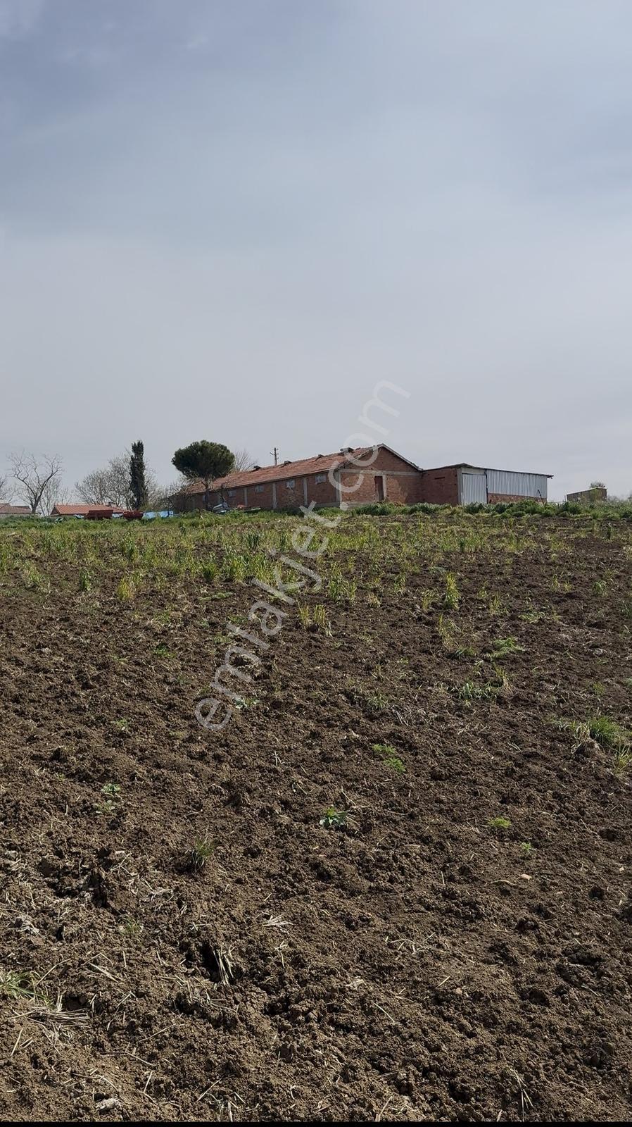 Süleymanpaşa Akçahalilde İmarlı 241 M² Satılık Arsa — fotoğraf 19