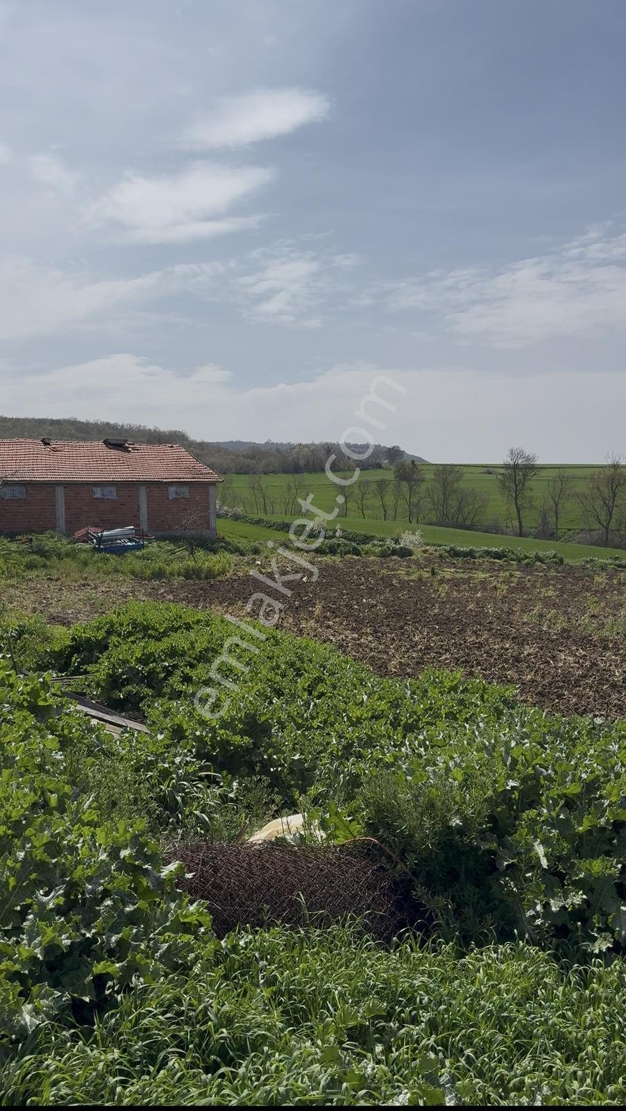 Süleymanpaşa Akçahalilde İmarlı 241 M² Satılık Arsa — fotoğraf 26