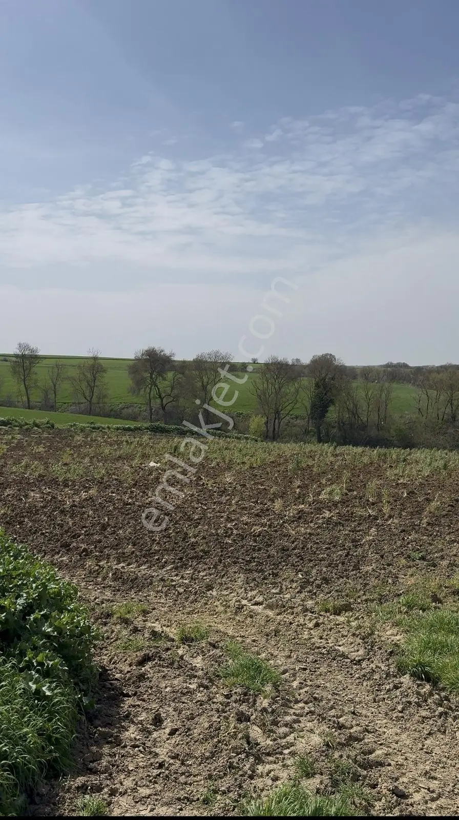 Süleymanpaşa Akçahalilde İmarlı 241 M² Satılık Arsa — fotoğraf 27