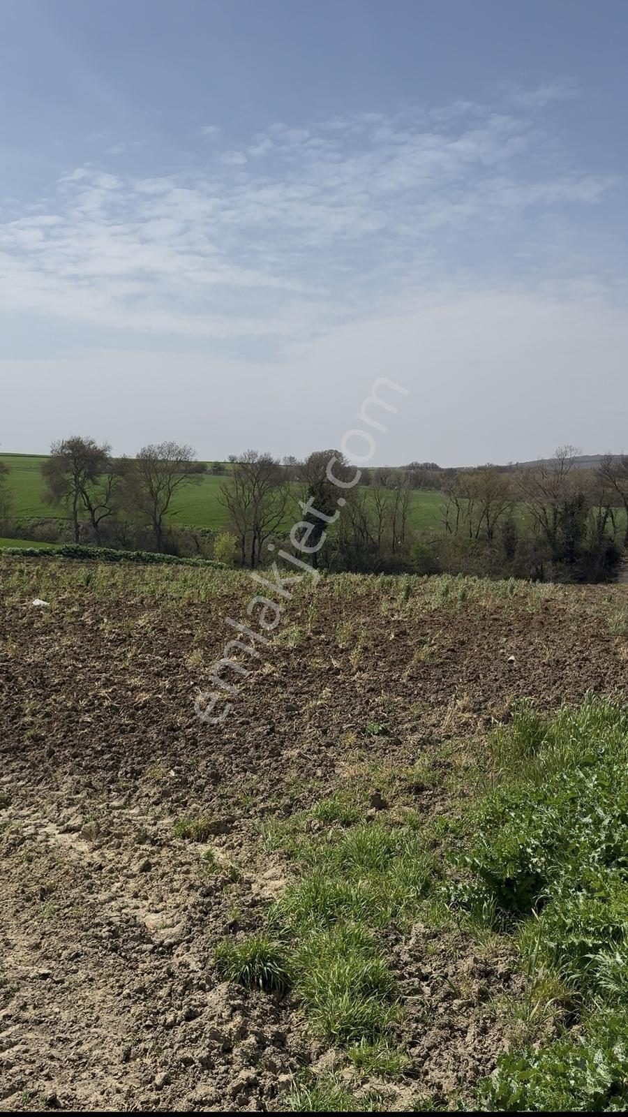 Süleymanpaşa Akçahalilde İmarlı 241 M² Satılık Arsa — fotoğraf 29