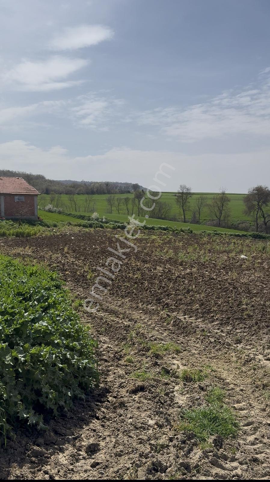 Süleymanpaşa Akçahalilde İmarlı 241 M² Satılık Arsa — fotoğraf 30