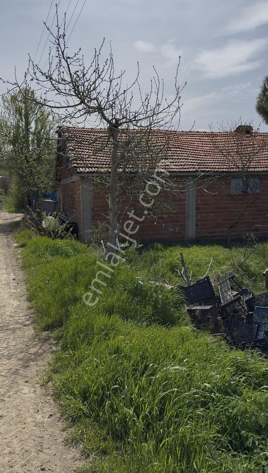 Süleymanpaşa Akçahalilde İmarlı 241 M² Satılık Arsa — fotoğraf 33