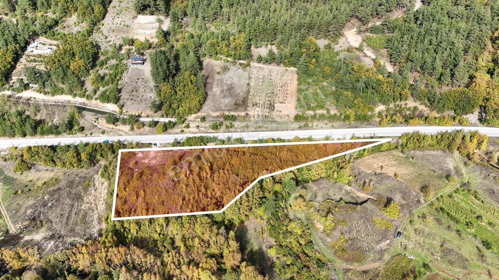 Bursa Osmangazi Çaybaşında Asfalt Cepheli 7.964 M² Tarla