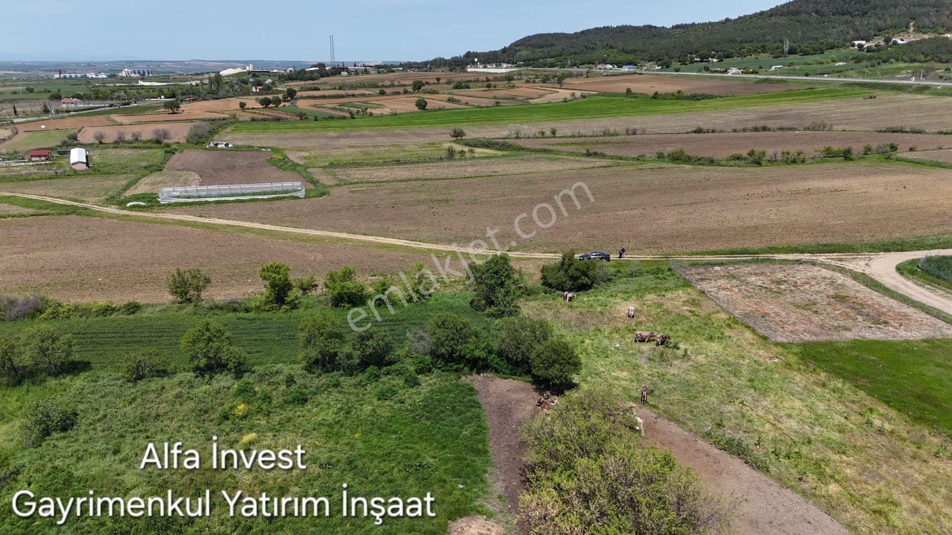 Edirne Keşan İzzetiye'de 442 M² Satılık Konut İmarı Arsa — fotoğraf 9