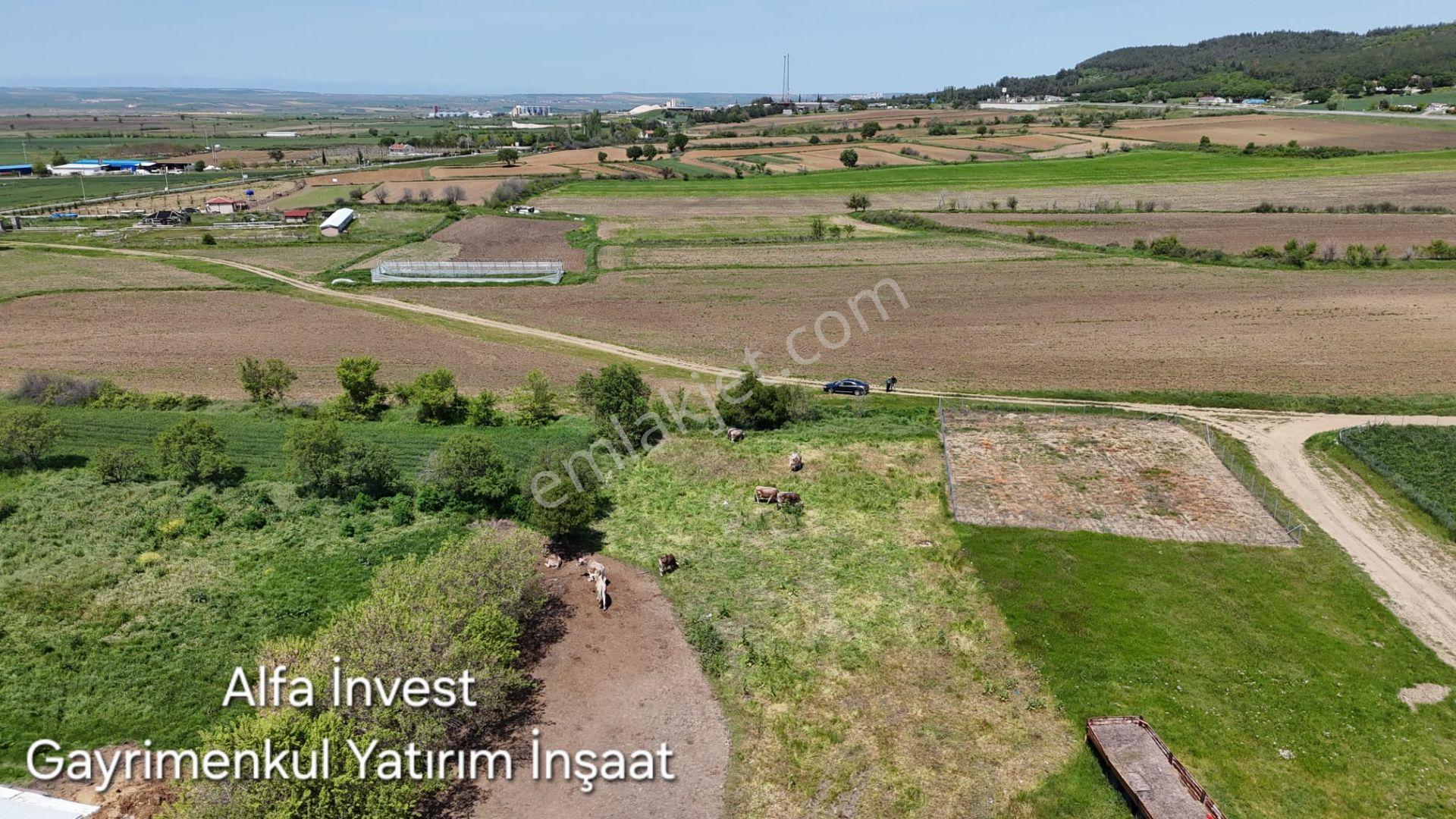 Edirne Keşan İzzetiye'de 442 M² Satılık Konut İmarı Arsa — fotoğraf 11