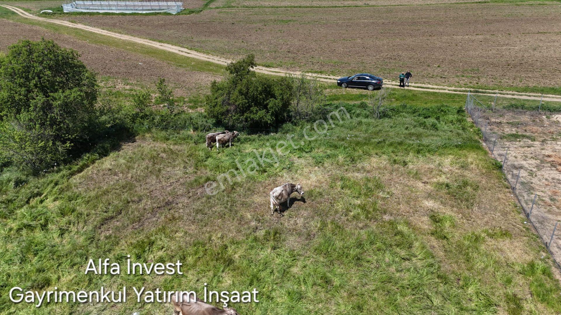 Edirne Keşan İzzetiye'de 442 M² Satılık Konut İmarı Arsa — fotoğraf 12