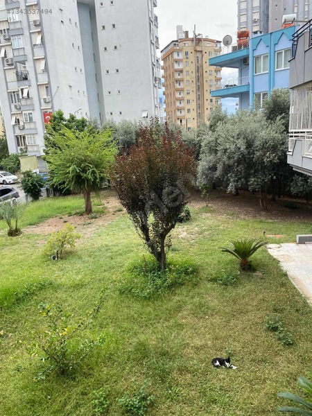 Antalya'nın Gözde Mahallesinde — fotoğraf 15
