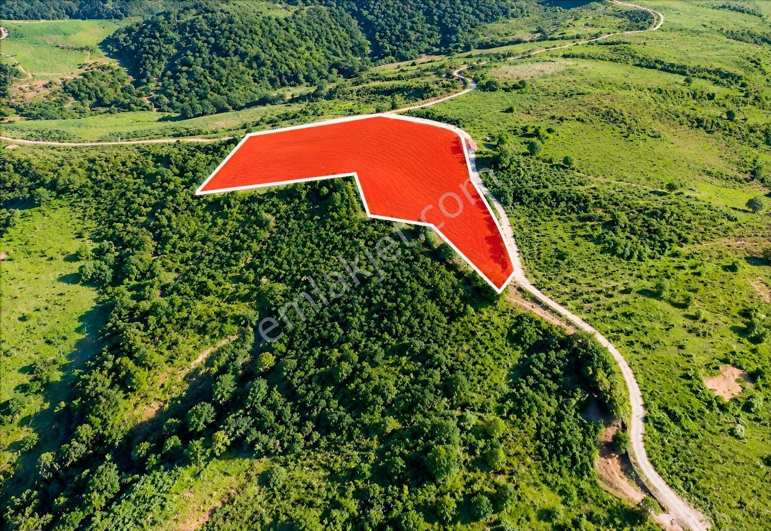 Emlak Evim - Kocatöngel Köyünde Satılık 8.552 M2 Fındıklık