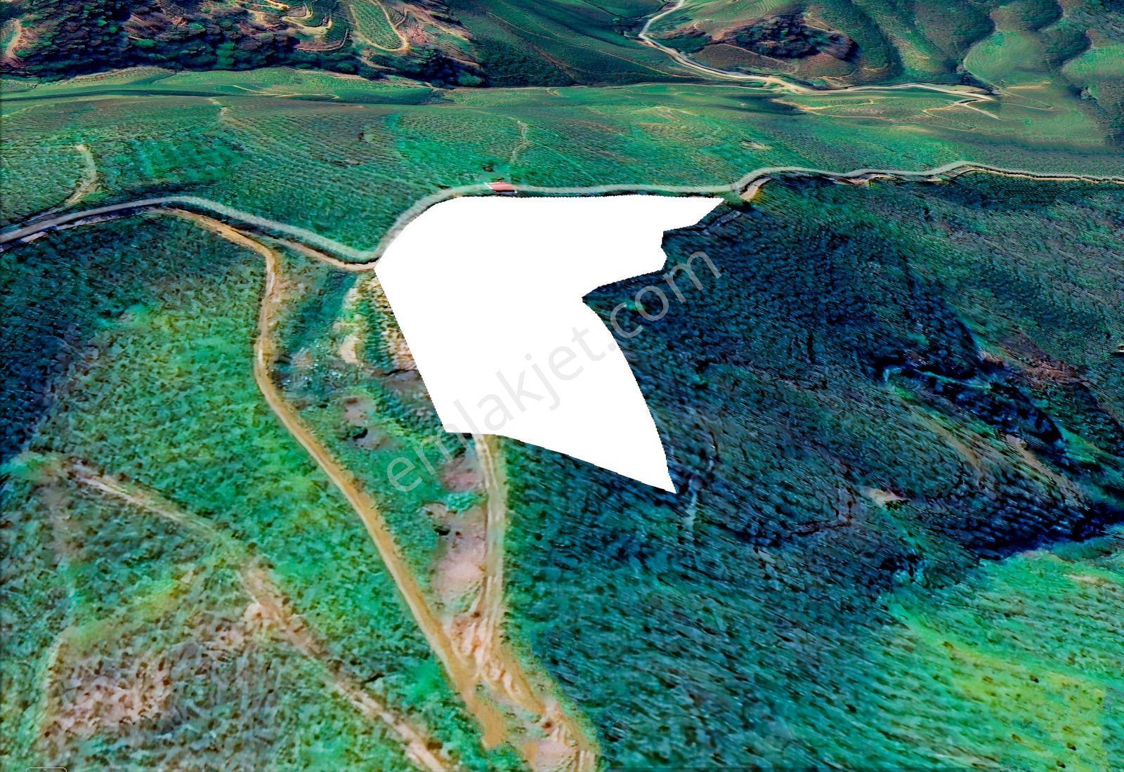 Emlak Evim - Kocatöngel Köyünde Satılık 8.552 M2 Fındıklık — fotoğraf 2