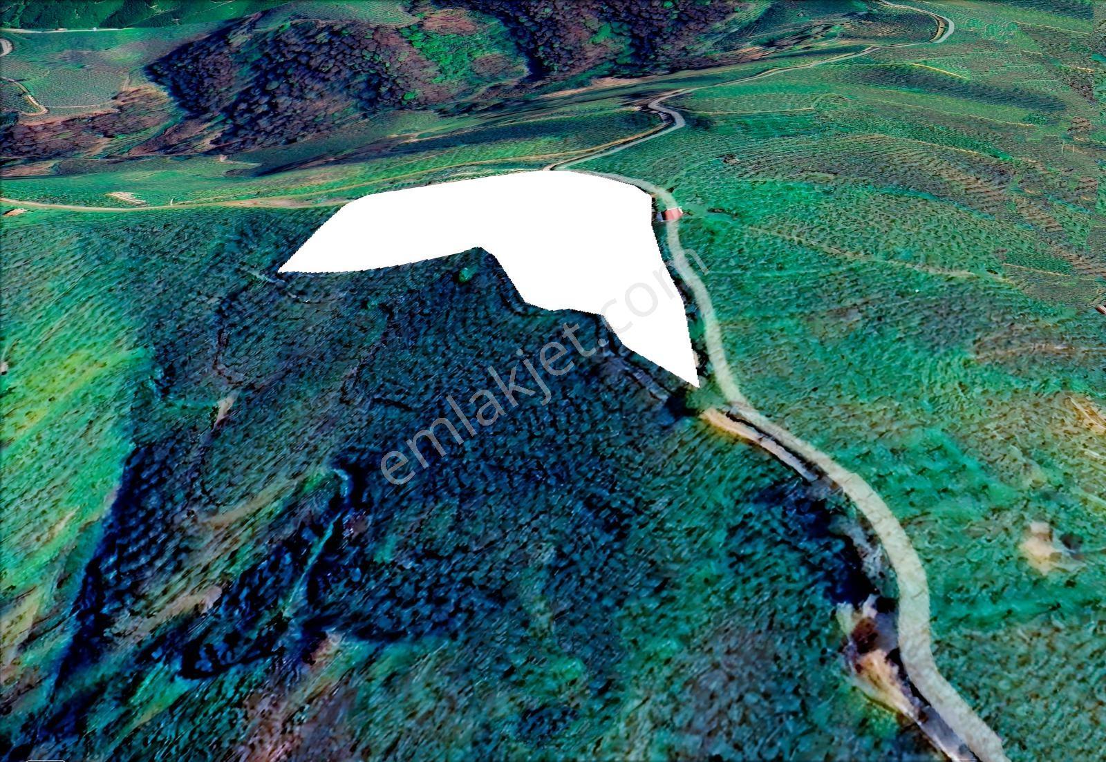 Emlak Evim - Kocatöngel Köyünde Satılık 8.552 M2 Fındıklık — fotoğraf 3