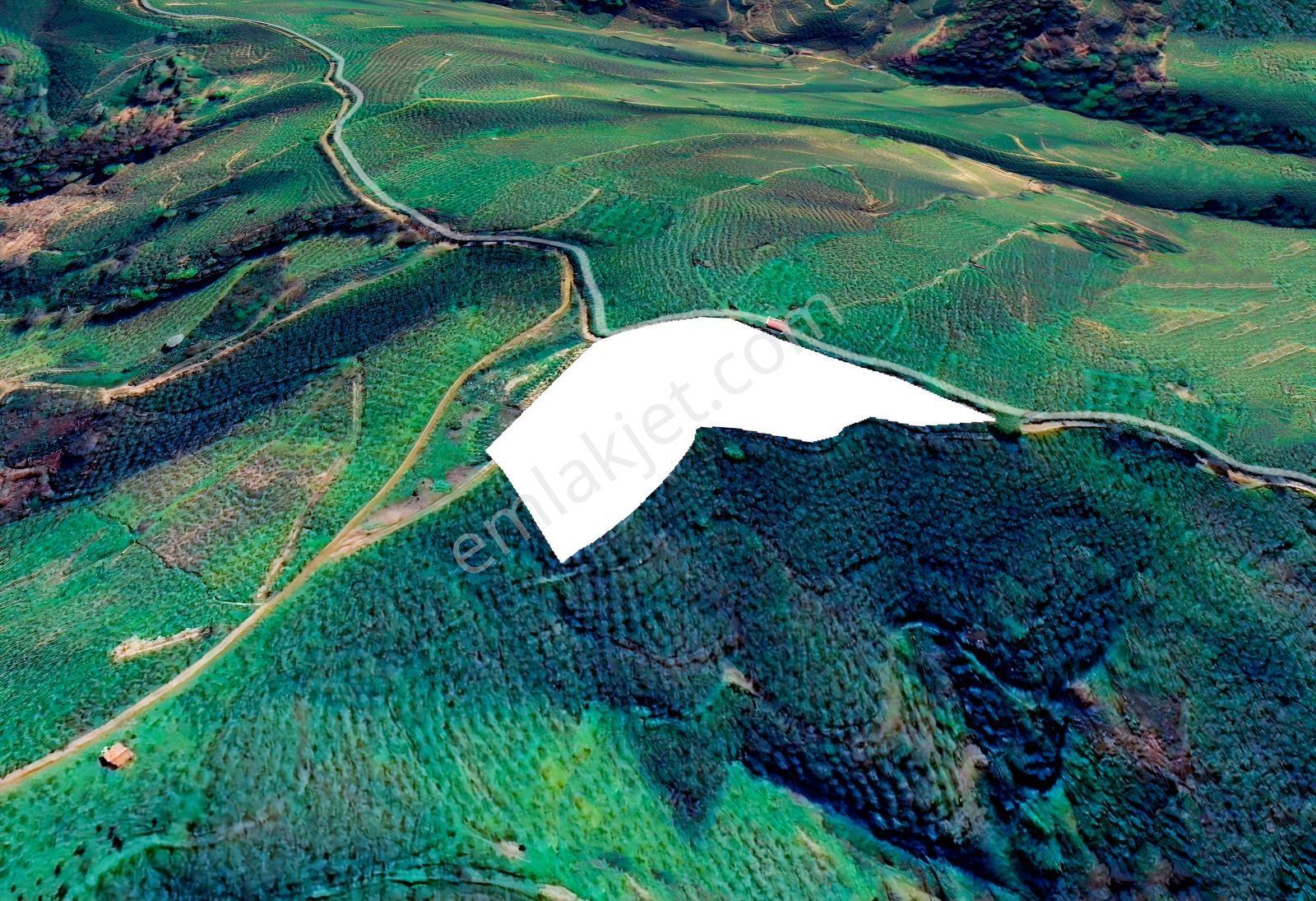 Emlak Evim - Kocatöngel Köyünde Satılık 8.552 M2 Fındıklık — fotoğraf 4