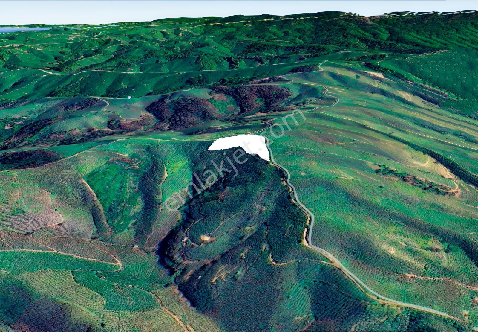 Emlak Evim - Kocatöngel Köyünde Satılık 8.552 M2 Fındıklık — fotoğraf 5
