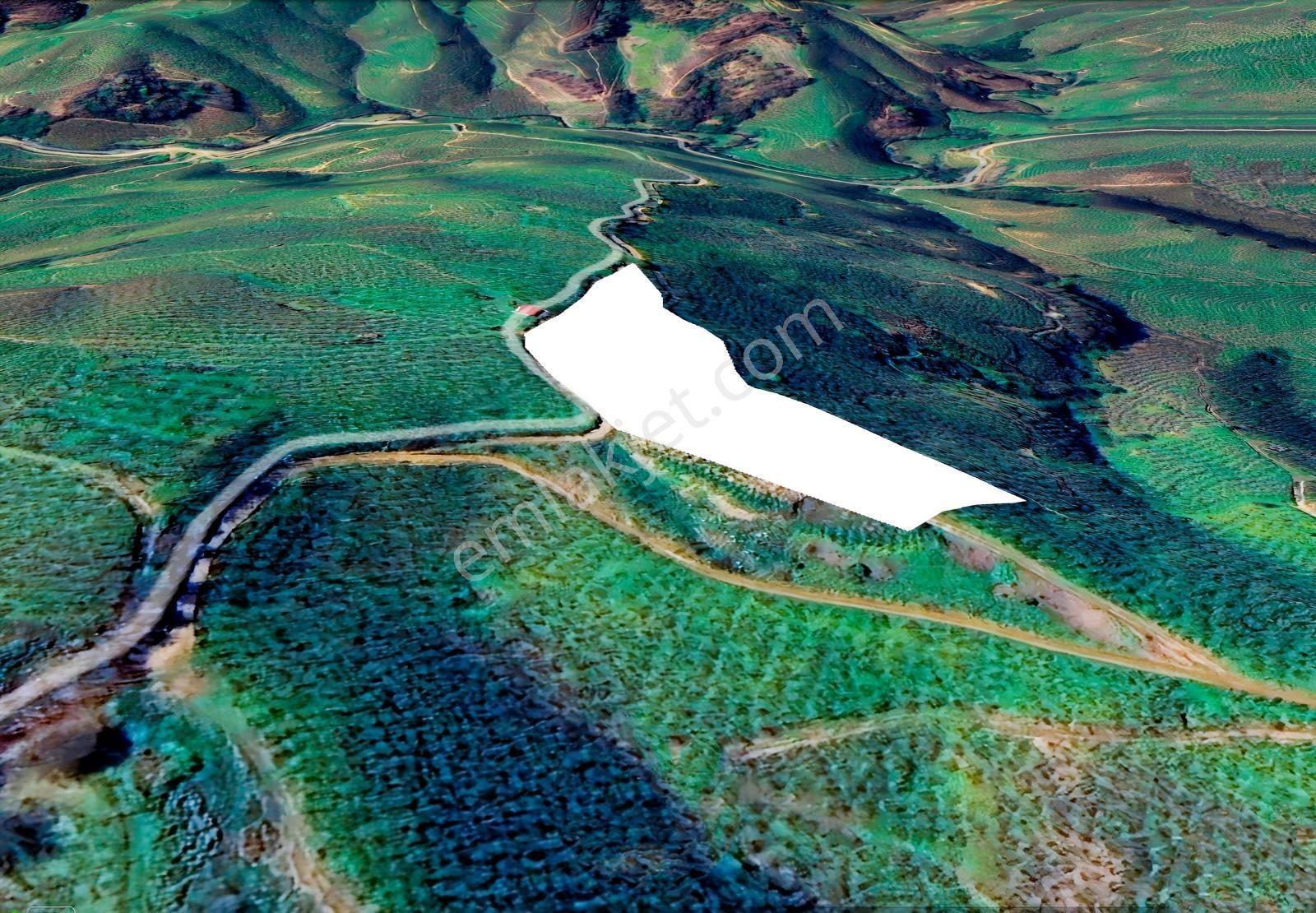Emlak Evim - Kocatöngel Köyünde Satılık 8.552 M2 Fındıklık — fotoğraf 6