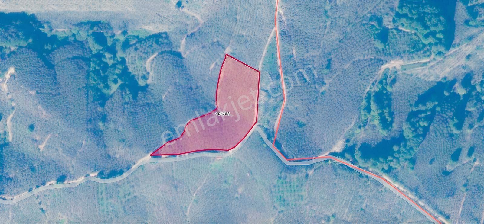 Emlak Evim - Kocatöngel Köyünde Satılık 8.552 M2 Fındıklık — fotoğraf 7