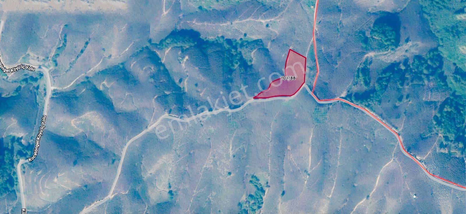 Emlak Evim - Kocatöngel Köyünde Satılık 8.552 M2 Fındıklık — fotoğraf 8