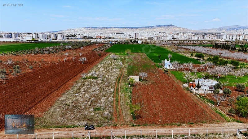 Liva Gayrimenkul'den Çevre Yolun'da İmara Yakın Satılık Arazi — fotoğraf 2