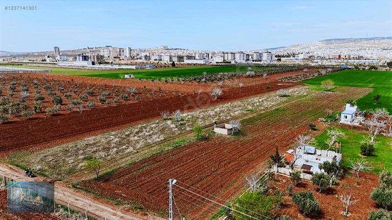 Liva Gayrimenkul'den Çevre Yolun'da İmara Yakın Satılık Arazi — fotoğraf 4