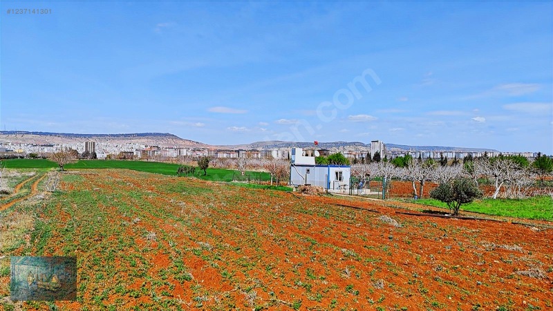 Liva Gayrimenkul'den Çevre Yolun'da İmara Yakın Satılık Arazi — fotoğraf 7