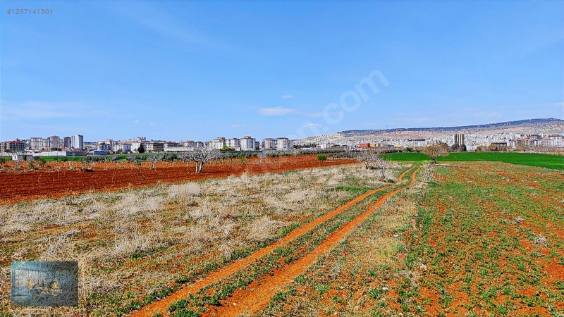 Liva Gayrimenkul'den Çevre Yolun'da İmara Yakın Satılık Arazi — fotoğraf 10